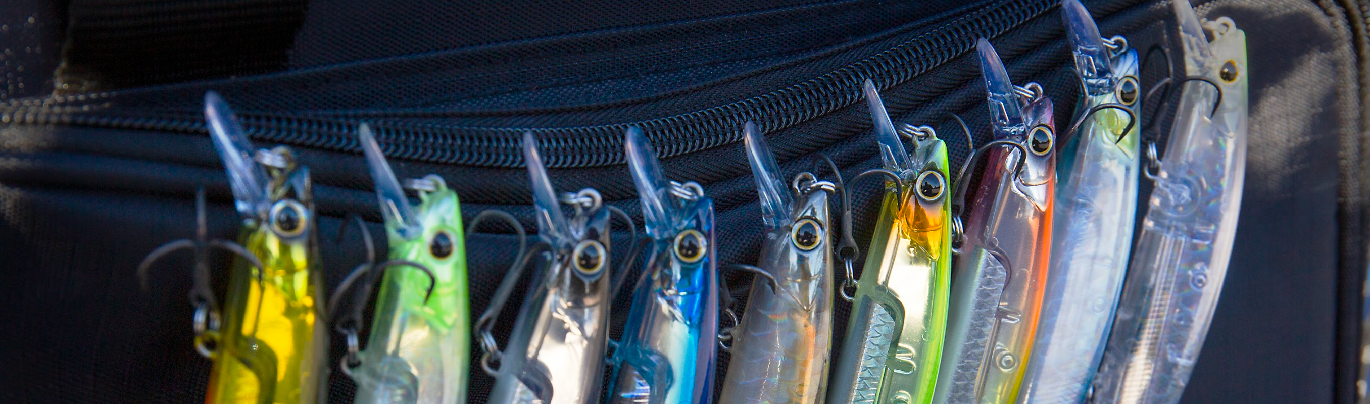 Hard Baits
