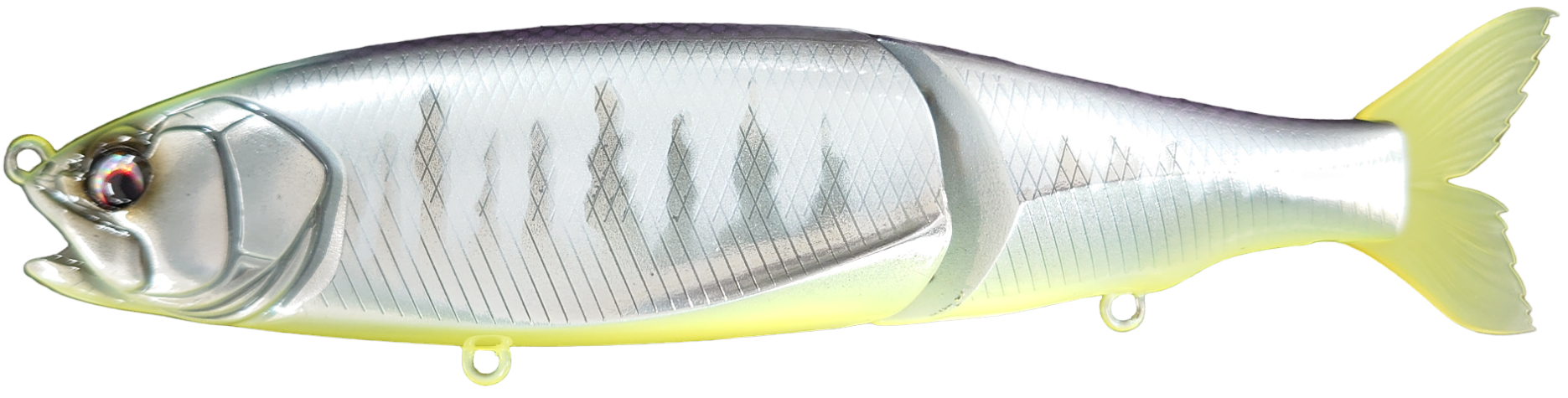 Eisvogel Avido 190