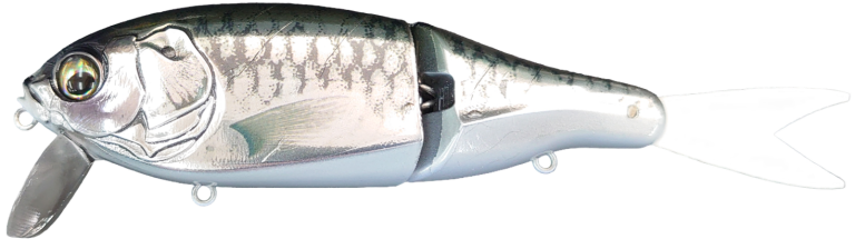 Eisvogel Slowth 150