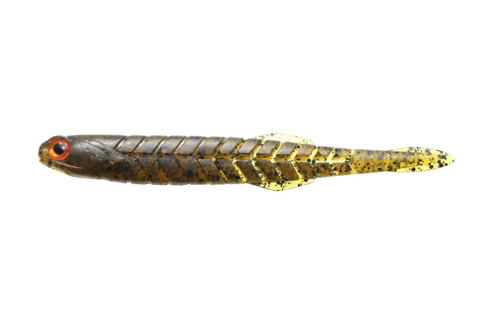 Issei Katakuchi Worm Yavakune