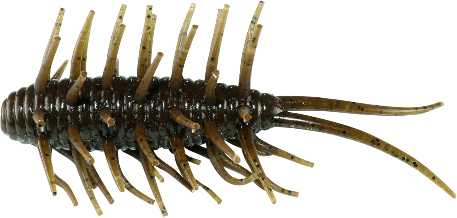Hideup Coike Shrimp
