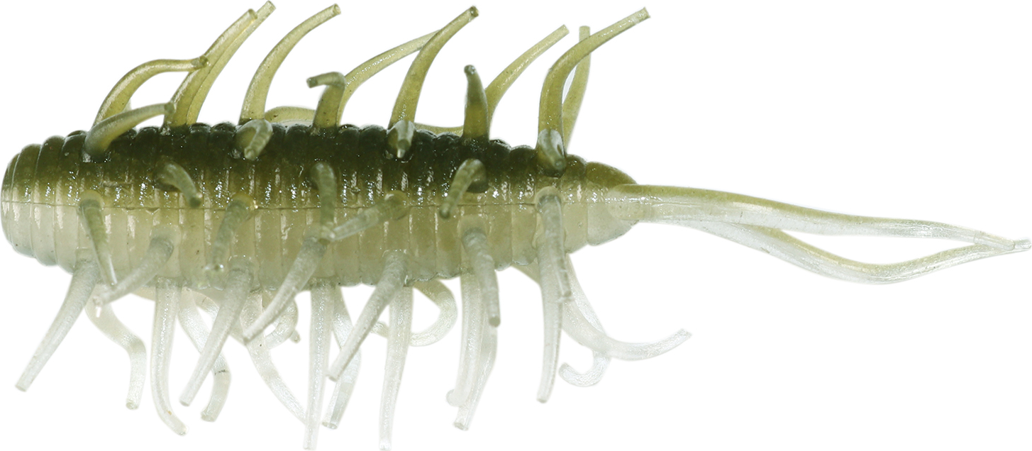 Hideup Coike Shrimp