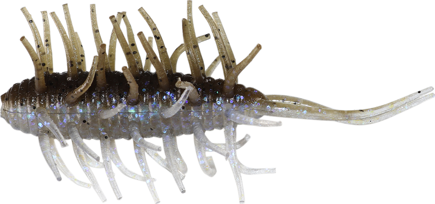 Hideup Coike Shrimp