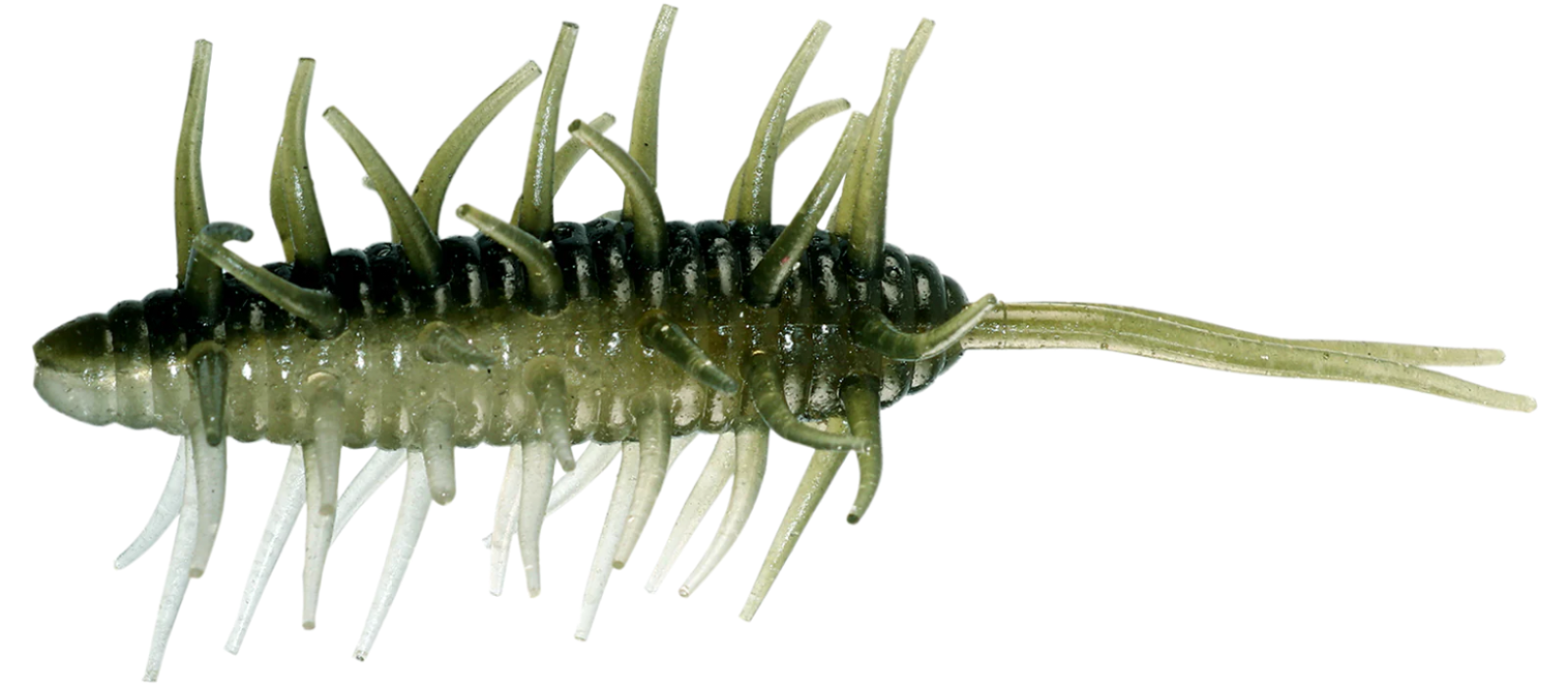 Hideup Coike Shrimp Medium