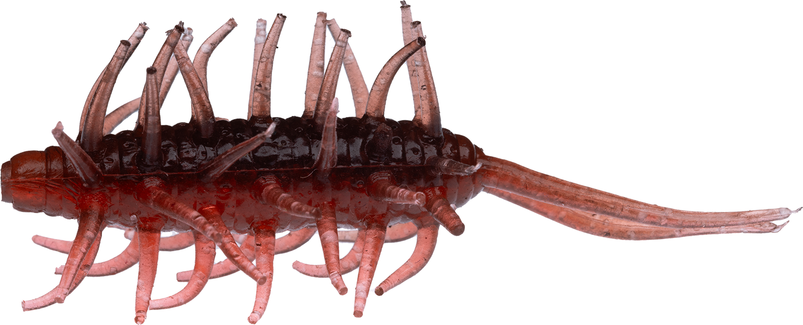 Hideup Coike Shrimp Mini