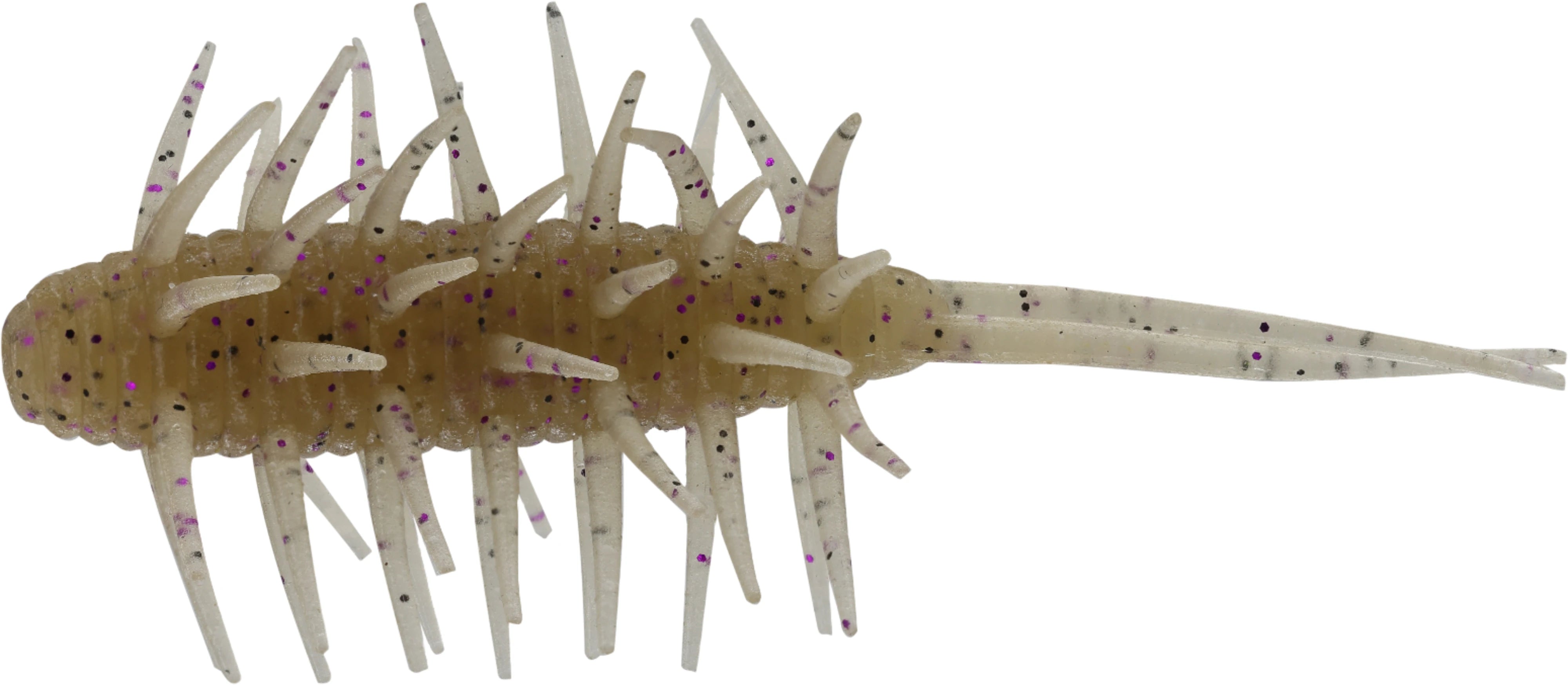 Hideup Coike Shrimp Medium