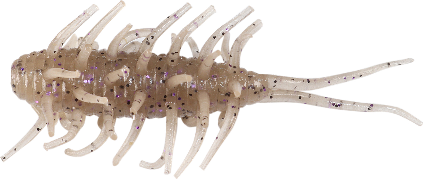 Hideup Coike Shrimp