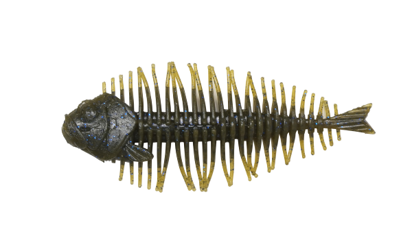 D-Style Geelacanth
