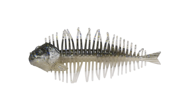 D-Style Geelacanth