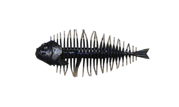 D-Style Geelacanth