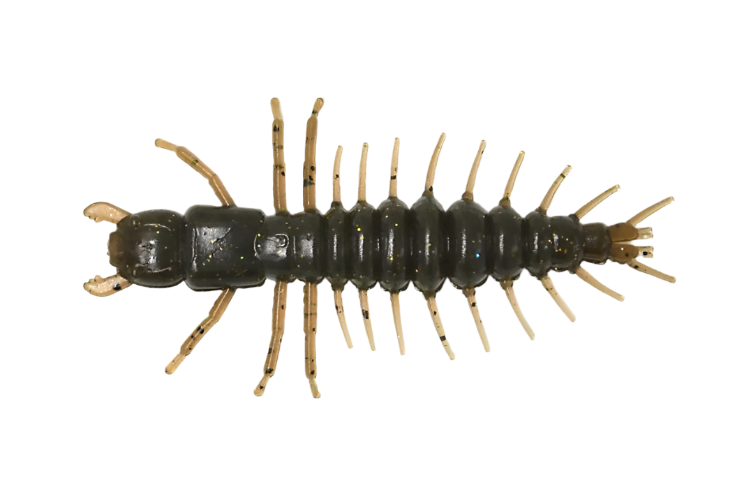 Mudbug