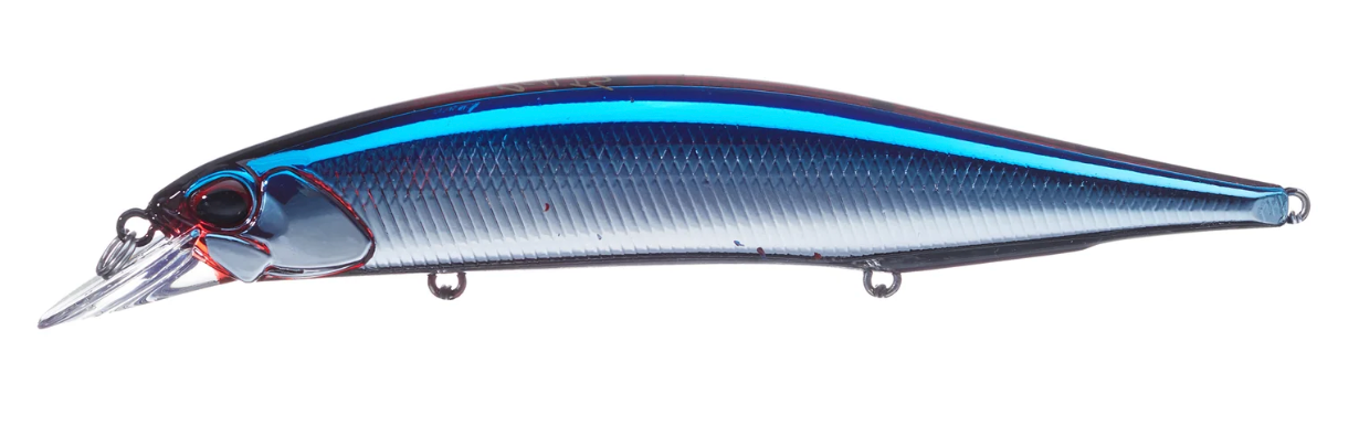 GF Blue Back