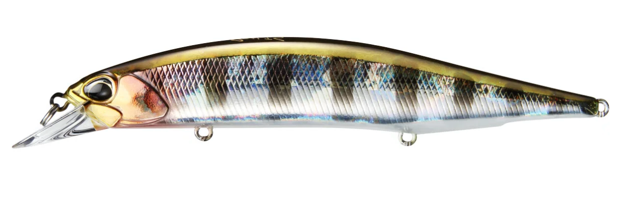 Prism Gill