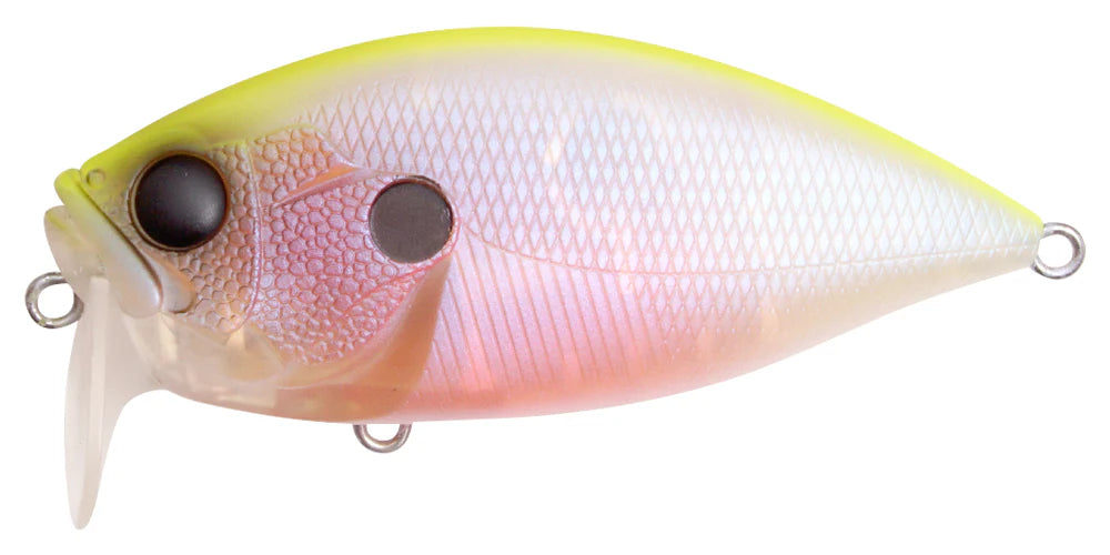 Rev Crank 的超低音