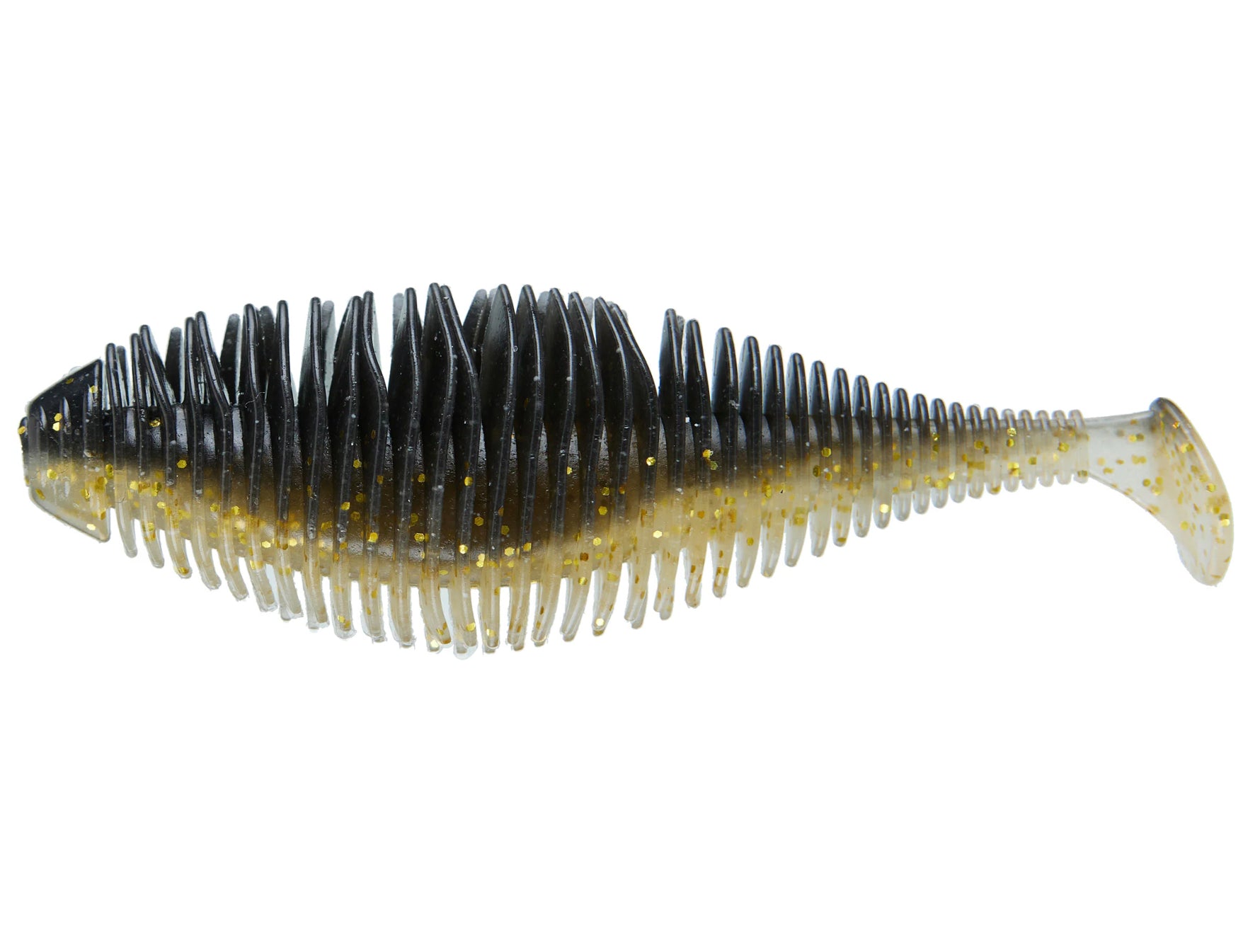 Golden Shiner #030