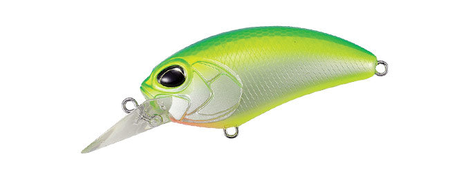 Citrus Shad