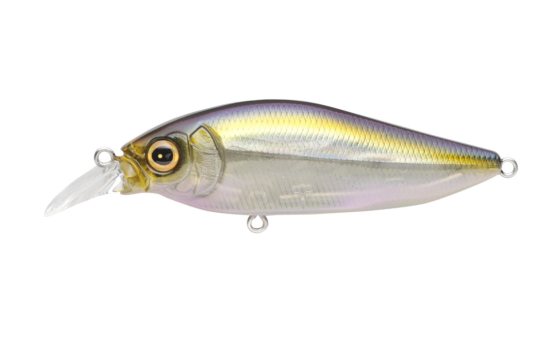 HT ITO Tennessee Shad