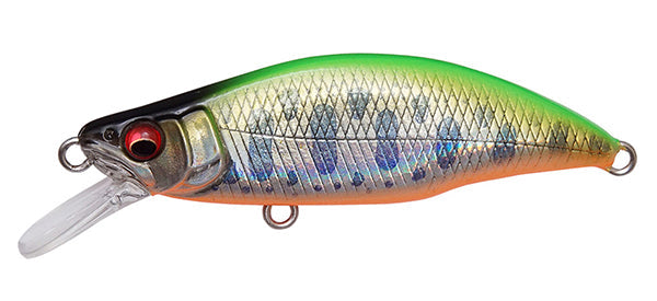 LZ Lime Back OB