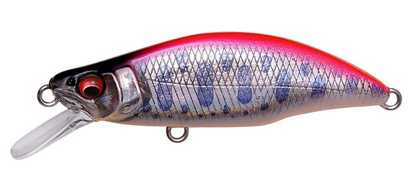 LZ Pink Back Yamame