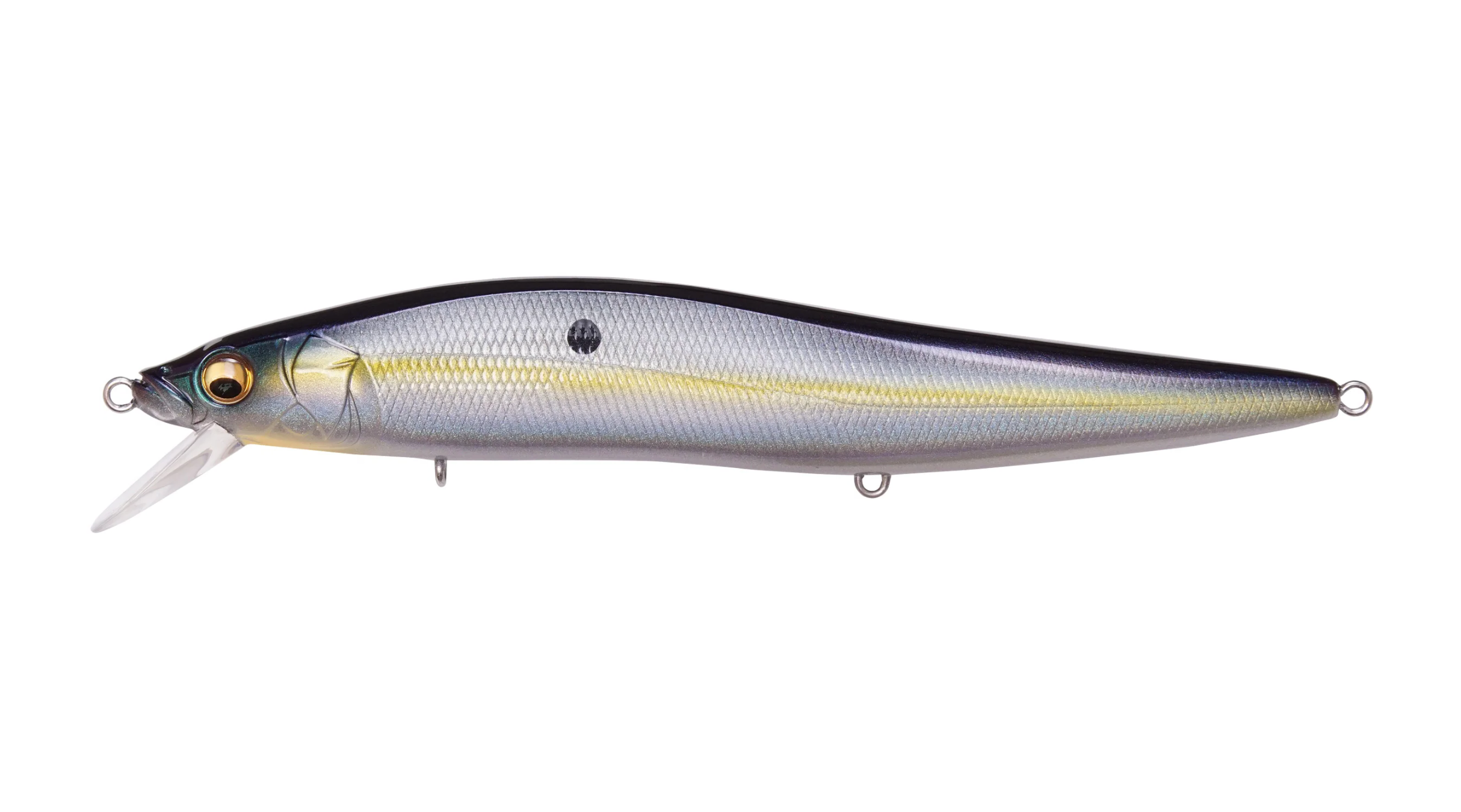 Megabass Sexy Shad