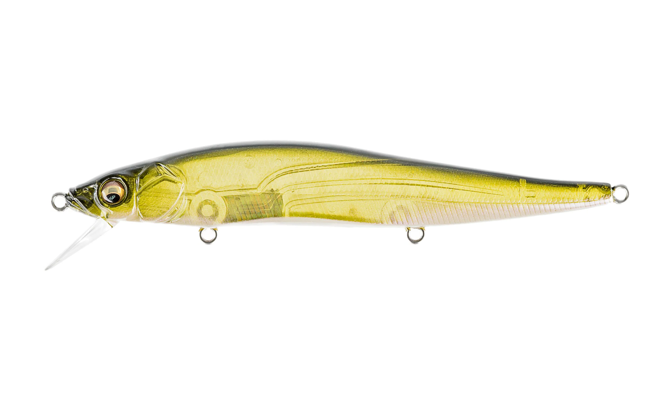 GG Moss Back Golden Shad