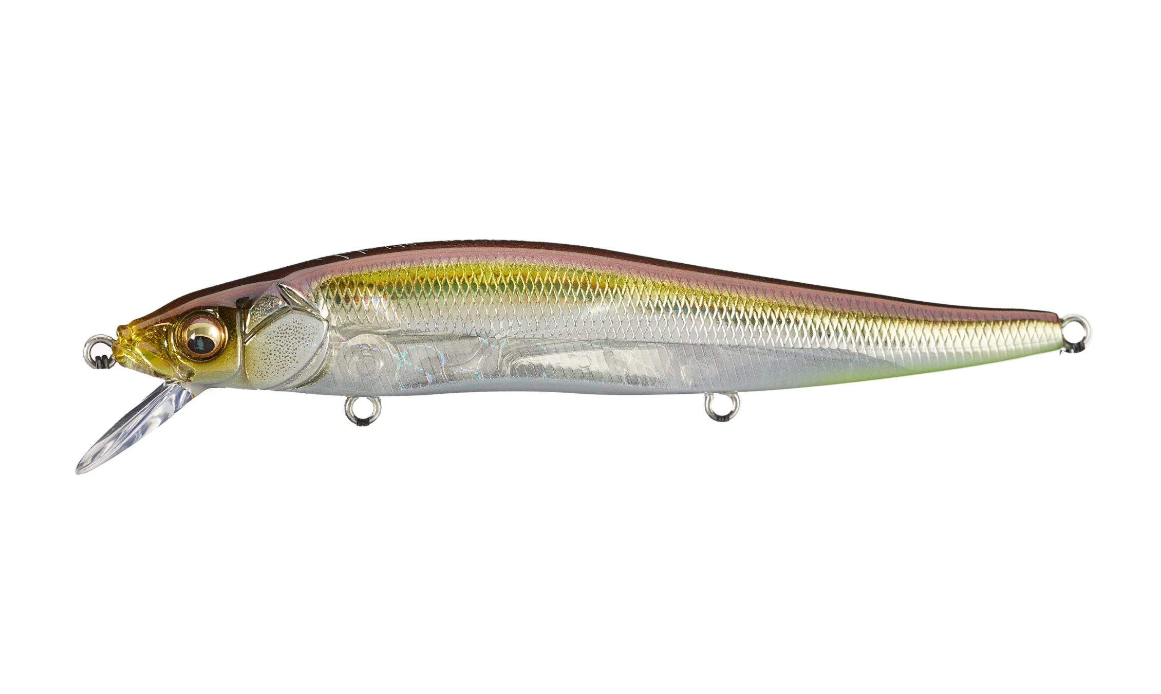 HT ITO Tennessee Shad