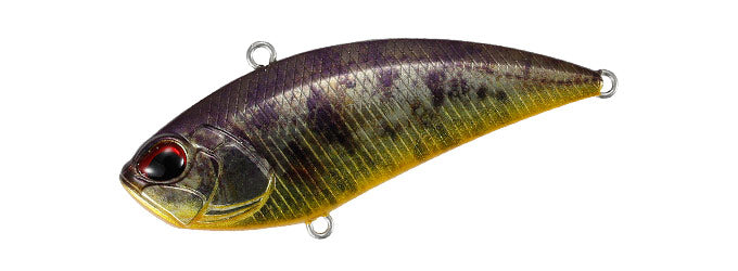 Duo Realis 振动 68 G-FIX