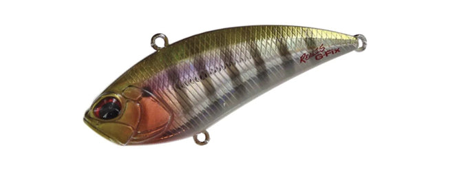 Duo Realis 振动 68 G-FIX
