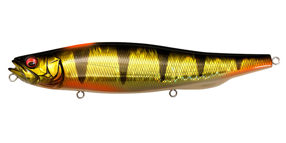 GG Indicator Perch