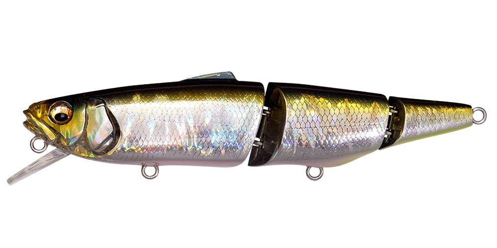 GG Tennessee Shad