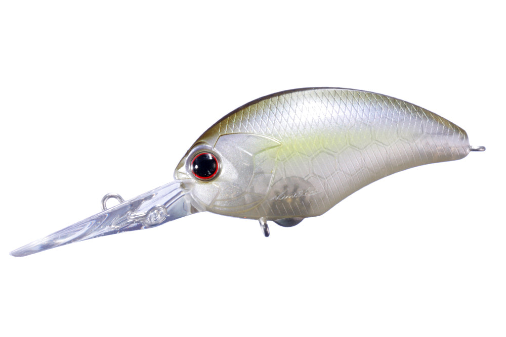 Tasty Shad P23