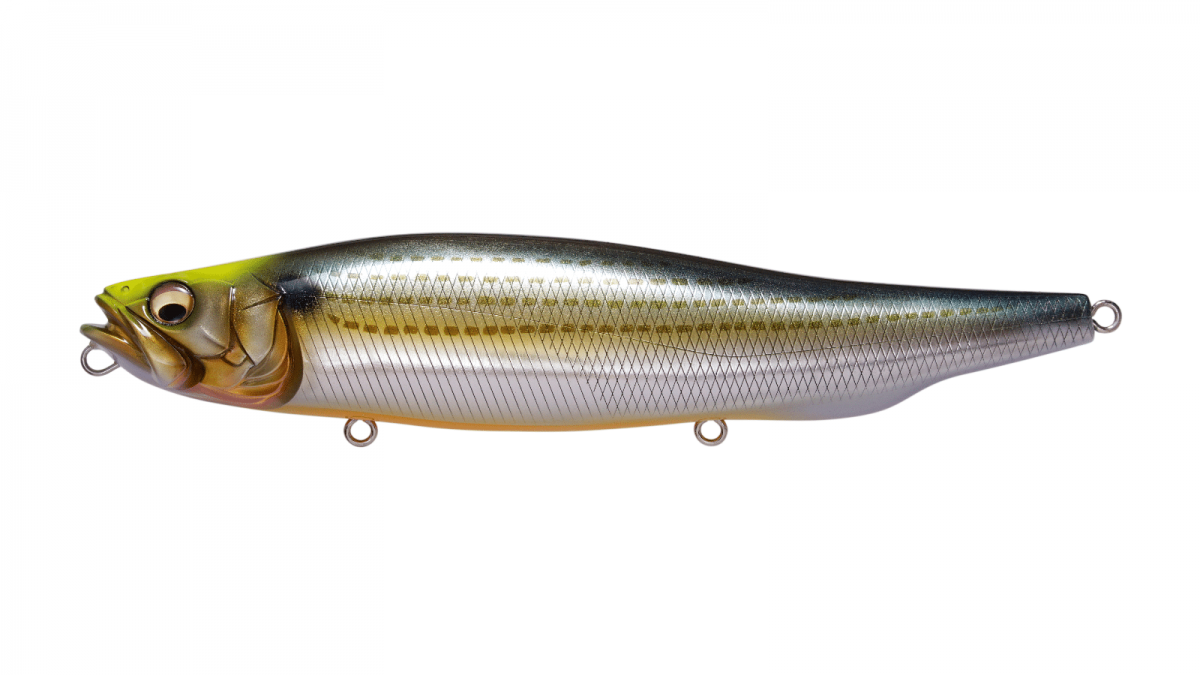 Urado Mullet