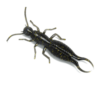イヤーウィグ earwig パスト past Max4 Earwig 2.8