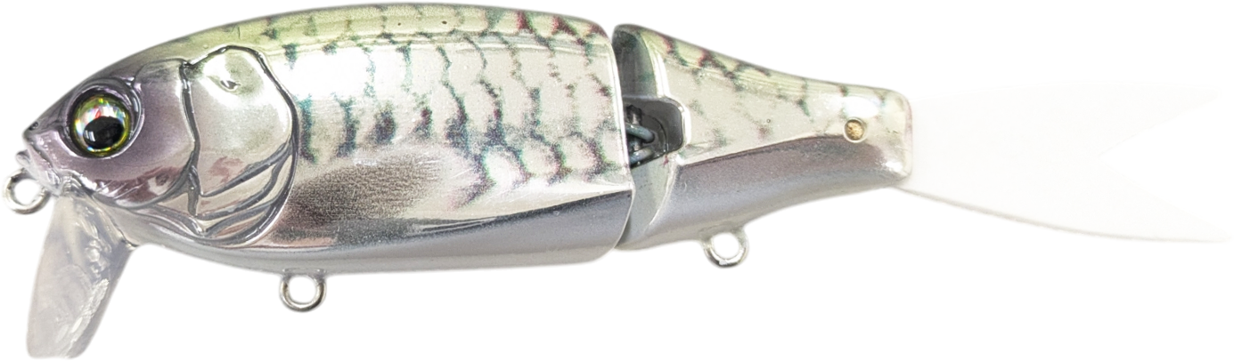 Eisvogel Petit Slowth 110