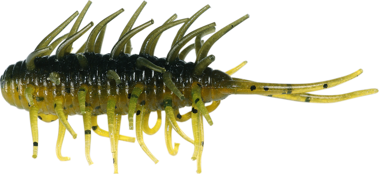 Hideup Coike Shrimp