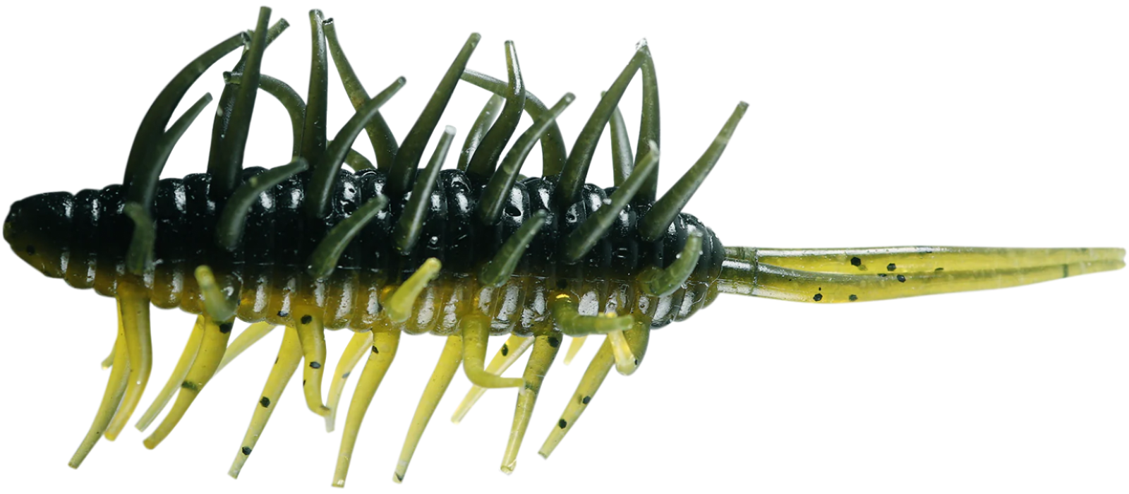 Hideup Coike Shrimp Big