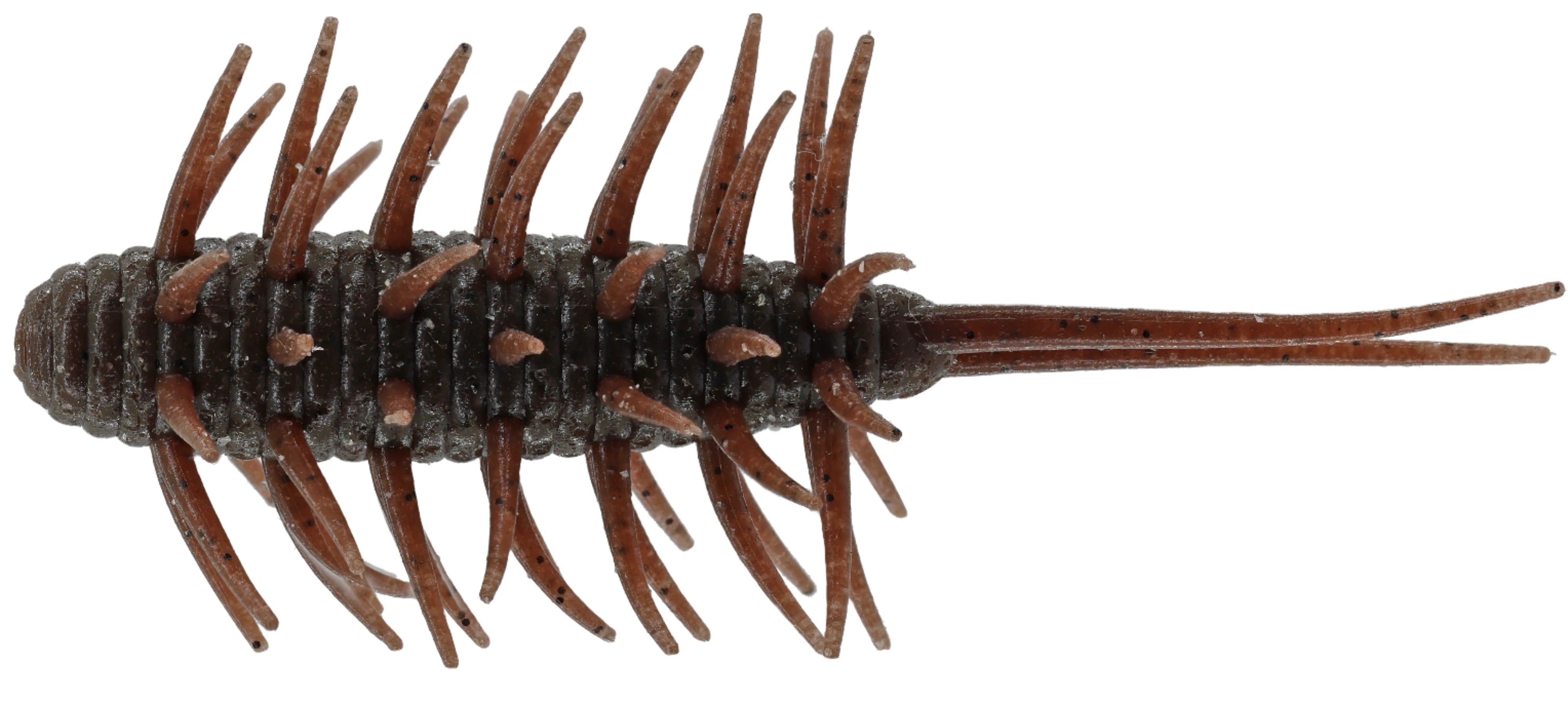 Hideup Coike Shrimp Medium