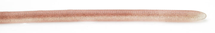 Smoke Shrimp - AJST-083