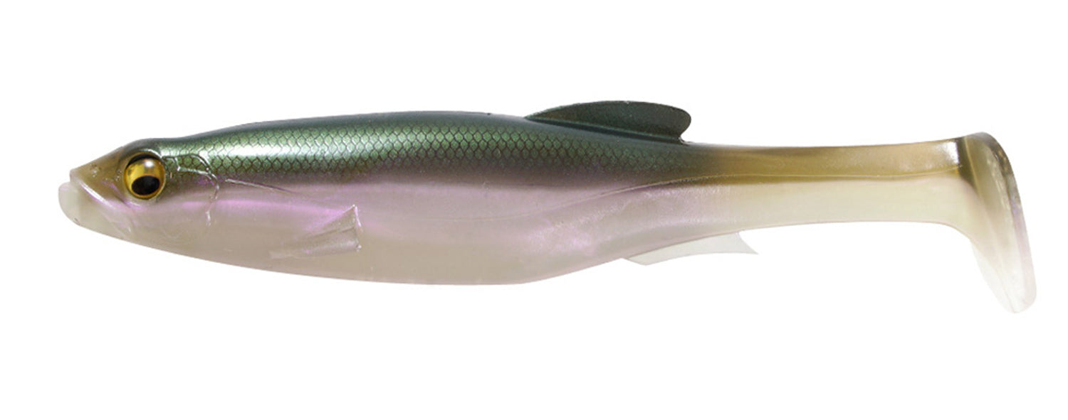 Borealis Shad