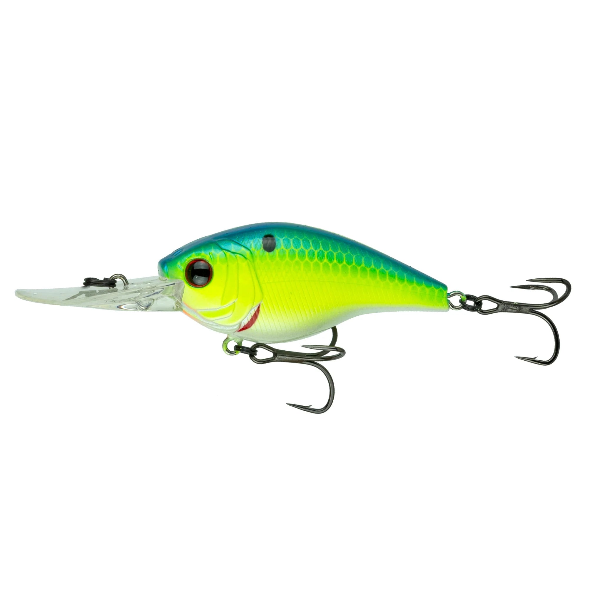 Blue-Treuse Shad