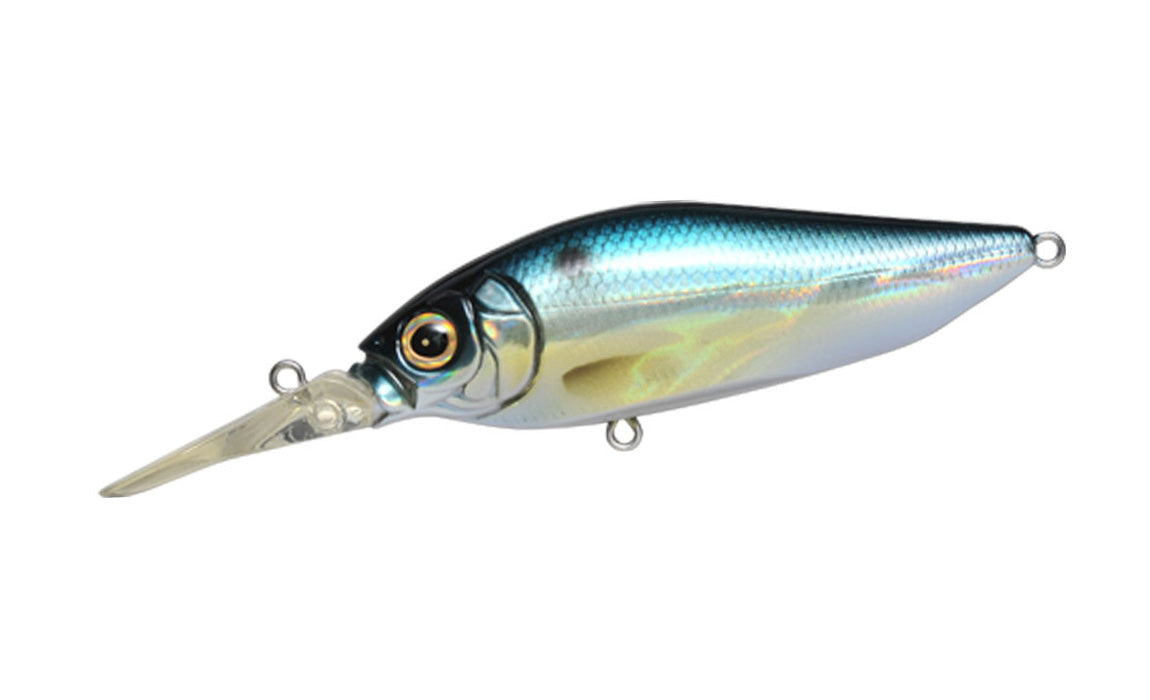 GG Threadfin Shad