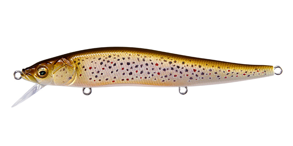 FA Brown Trout