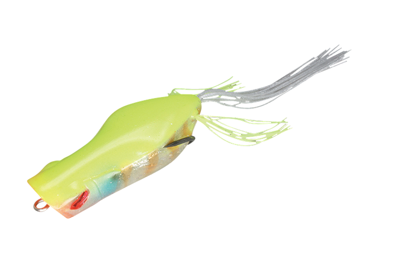 杰克尔加瓦乔波普尔青蛙