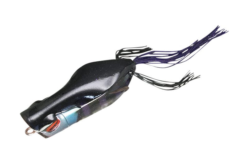 杰克尔加瓦乔波普尔青蛙