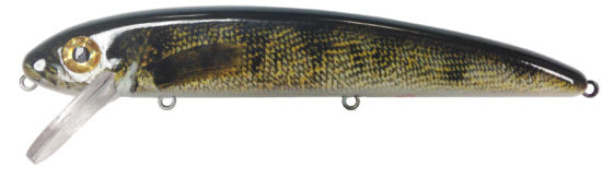 Walleye