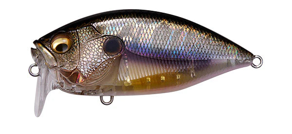 Rev Crank 的超低音