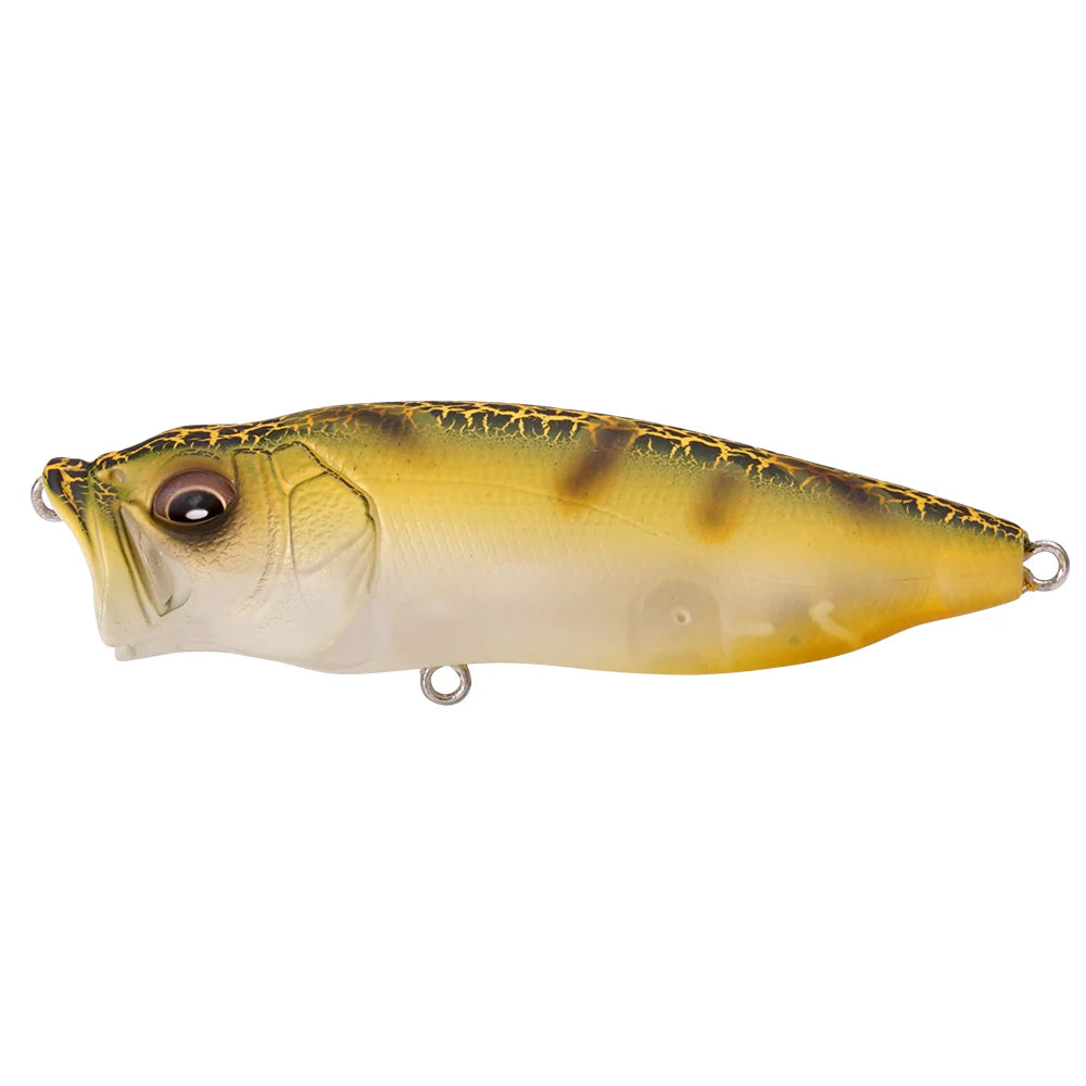 メガバス 限定 POP MAX (FISHING EIGHT SPECIAL) Megabass Popmax Special Run Colors