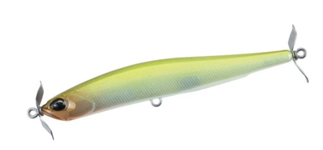 Grass Minnow