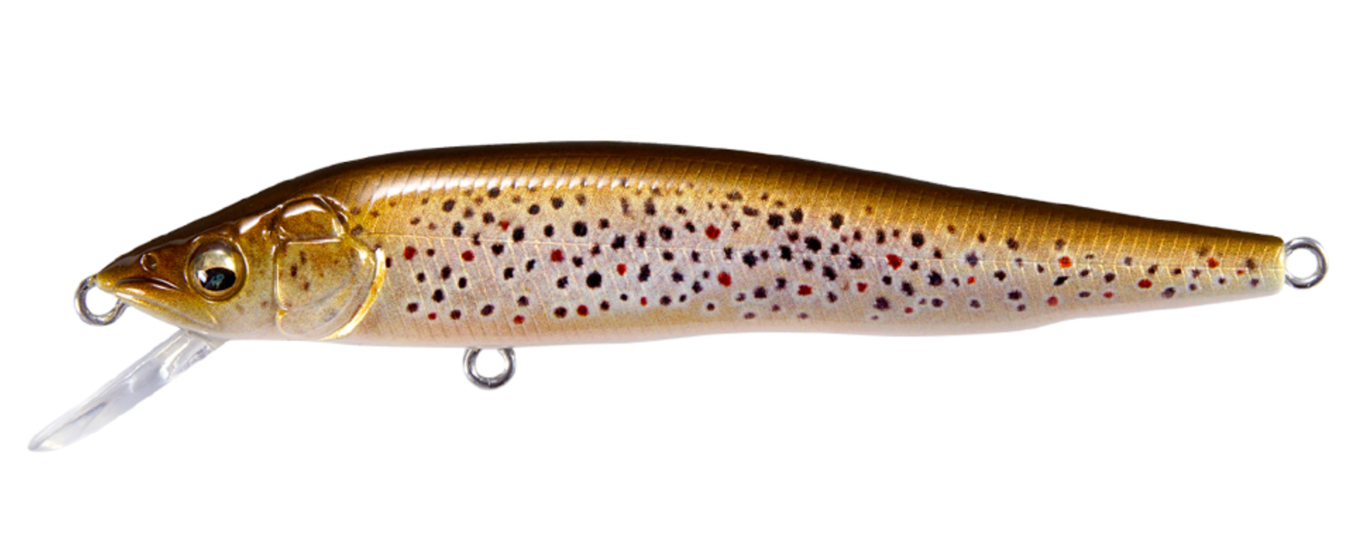 FA Brown Trout