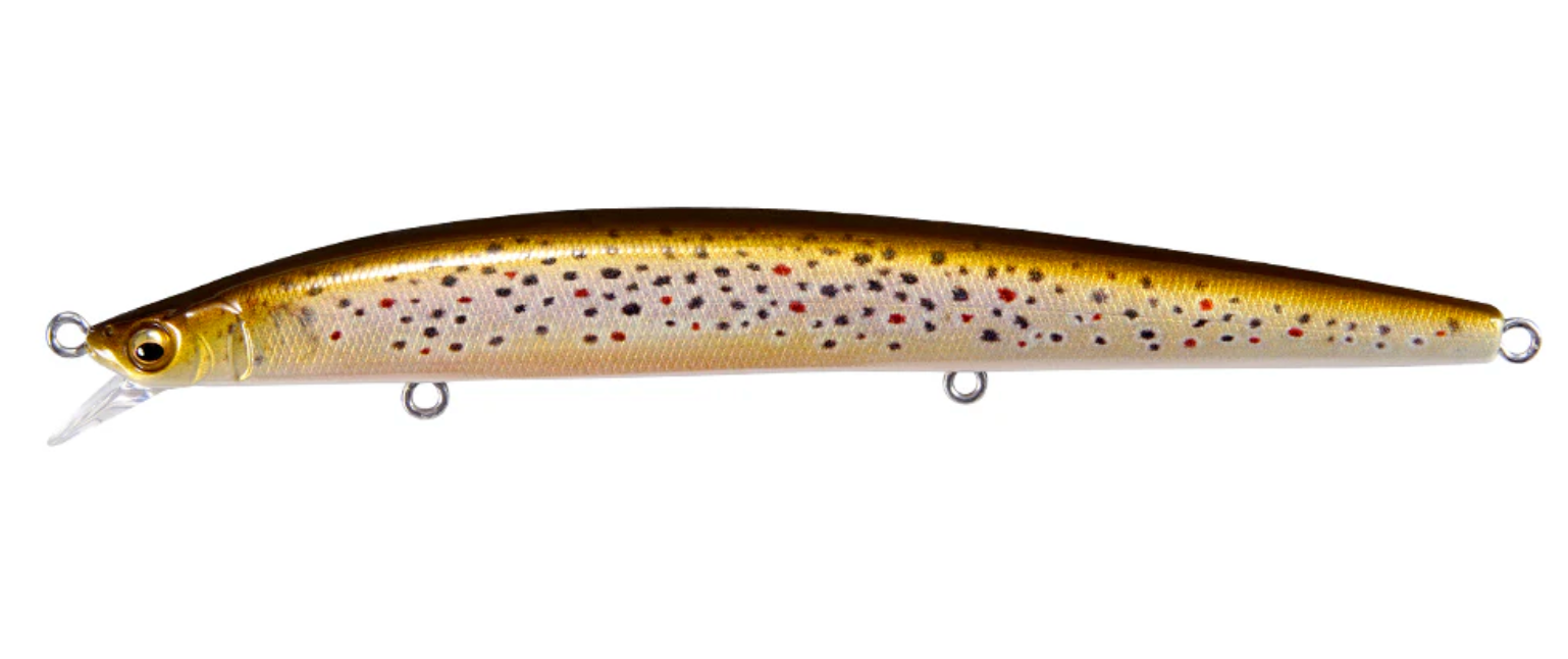 FA Brown Trout